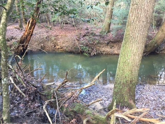 5.02 Gizzard Creek Road Sequatchie, TN 37374 - Photo 4 of 11 20170210174208452786000000-o