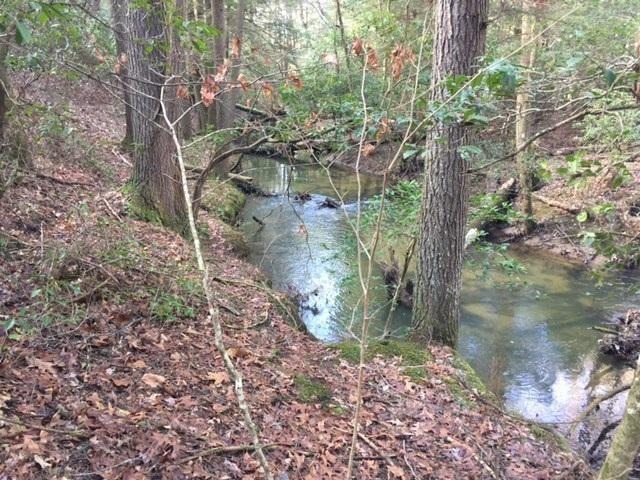 5.02 Gizzard Creek Road Sequatchie, TN 37374 - Photo 6 of 11 20170210174212072955000000-o