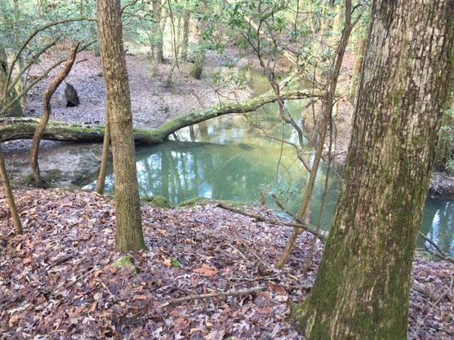 5.02 Gizzard Creek Road Sequatchie, TN 37374 - Photo 7 of 11 20170210174218664355000000-o