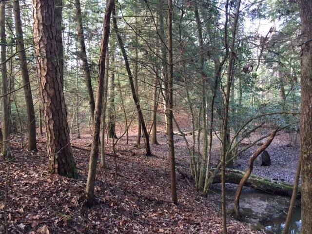 5.02 Gizzard Creek Road Sequatchie, TN 37374 - Photo 8 of 11 20170210174221082178000000-o