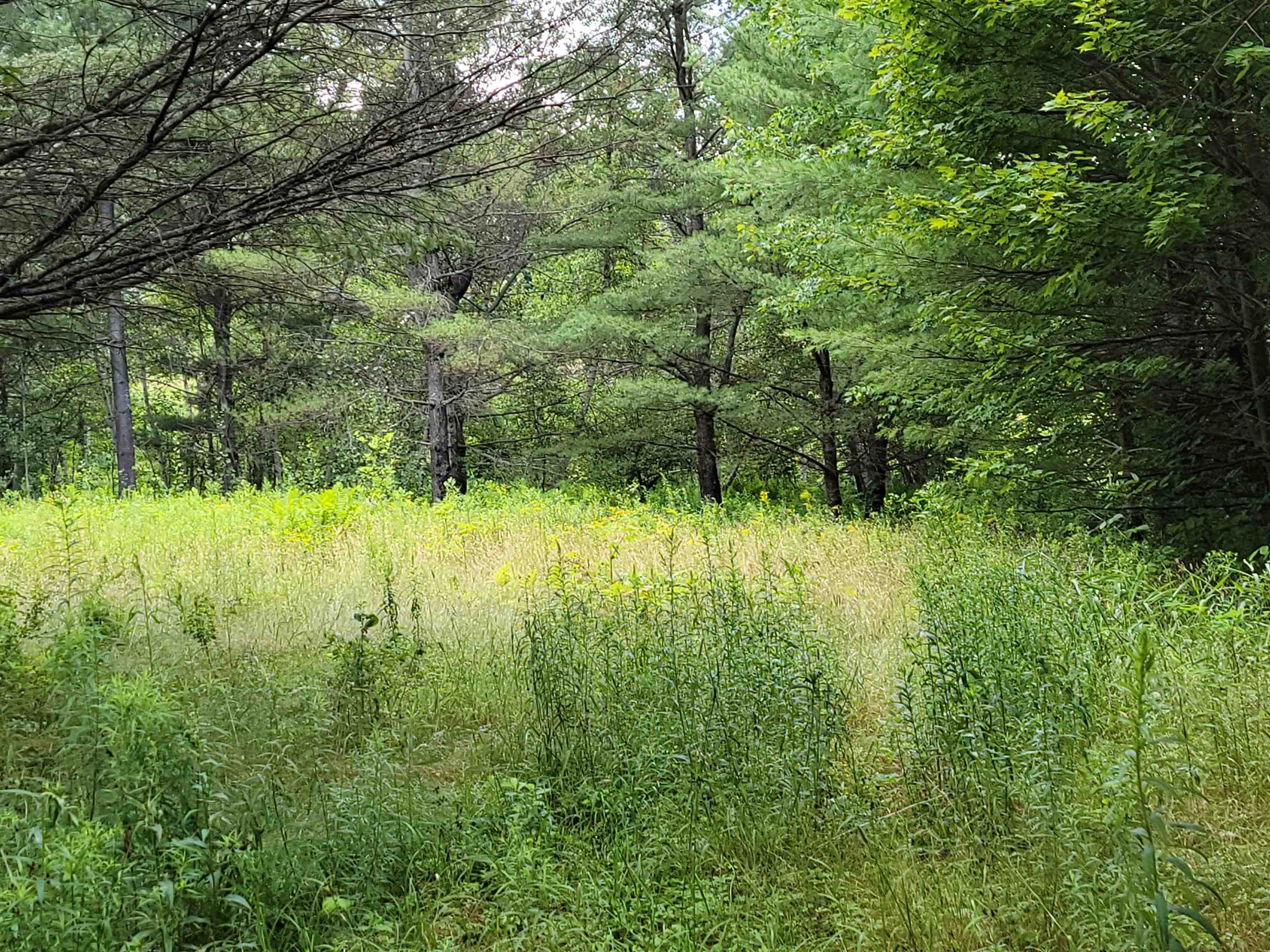 990 Blake Road Sugar Hill, NH 03586 - Photo 13 of 21 Gallery Image 13