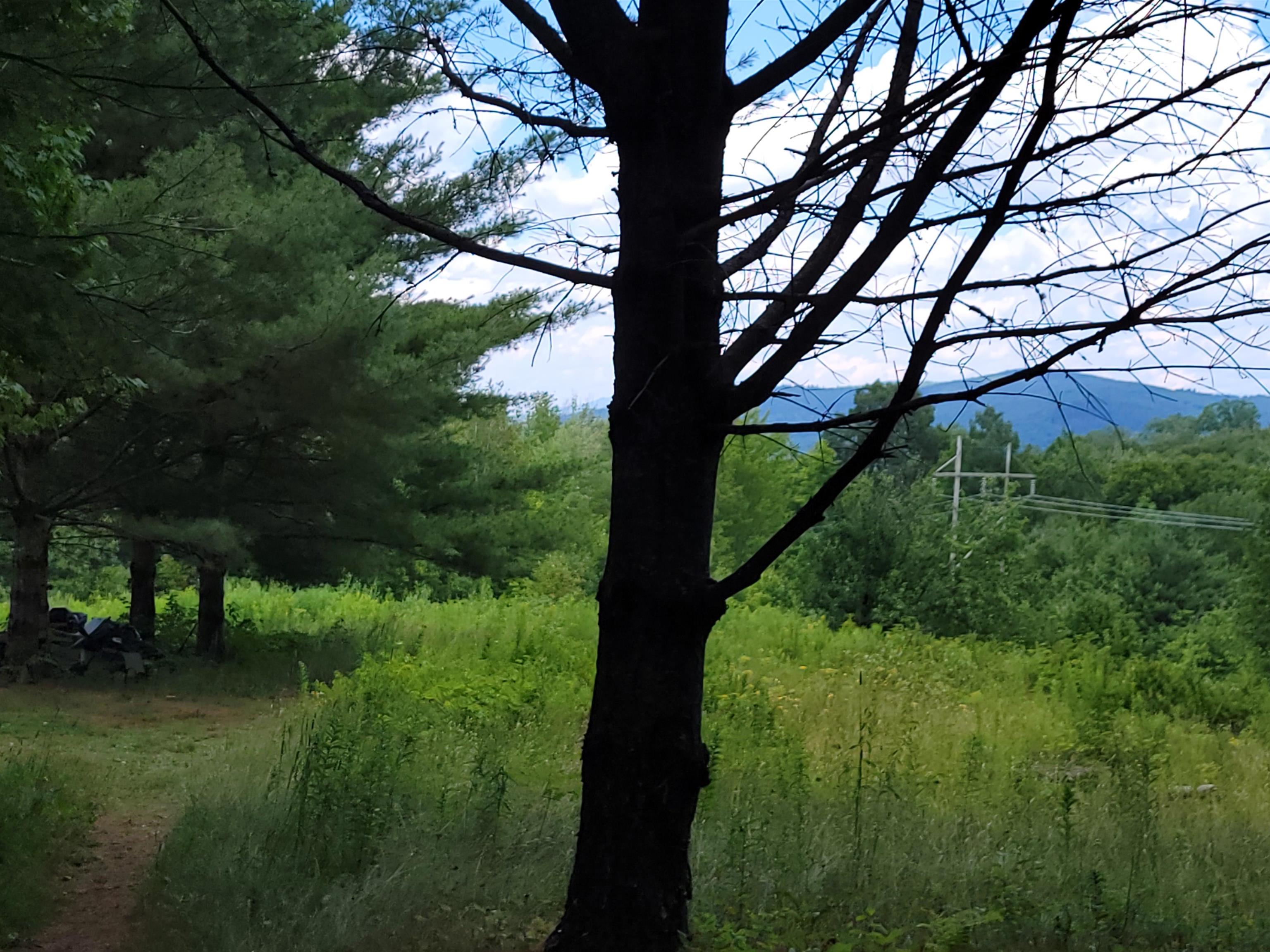 990 Blake Road Sugar Hill, NH 03586 - Photo 16 of 21 Gallery Image 16