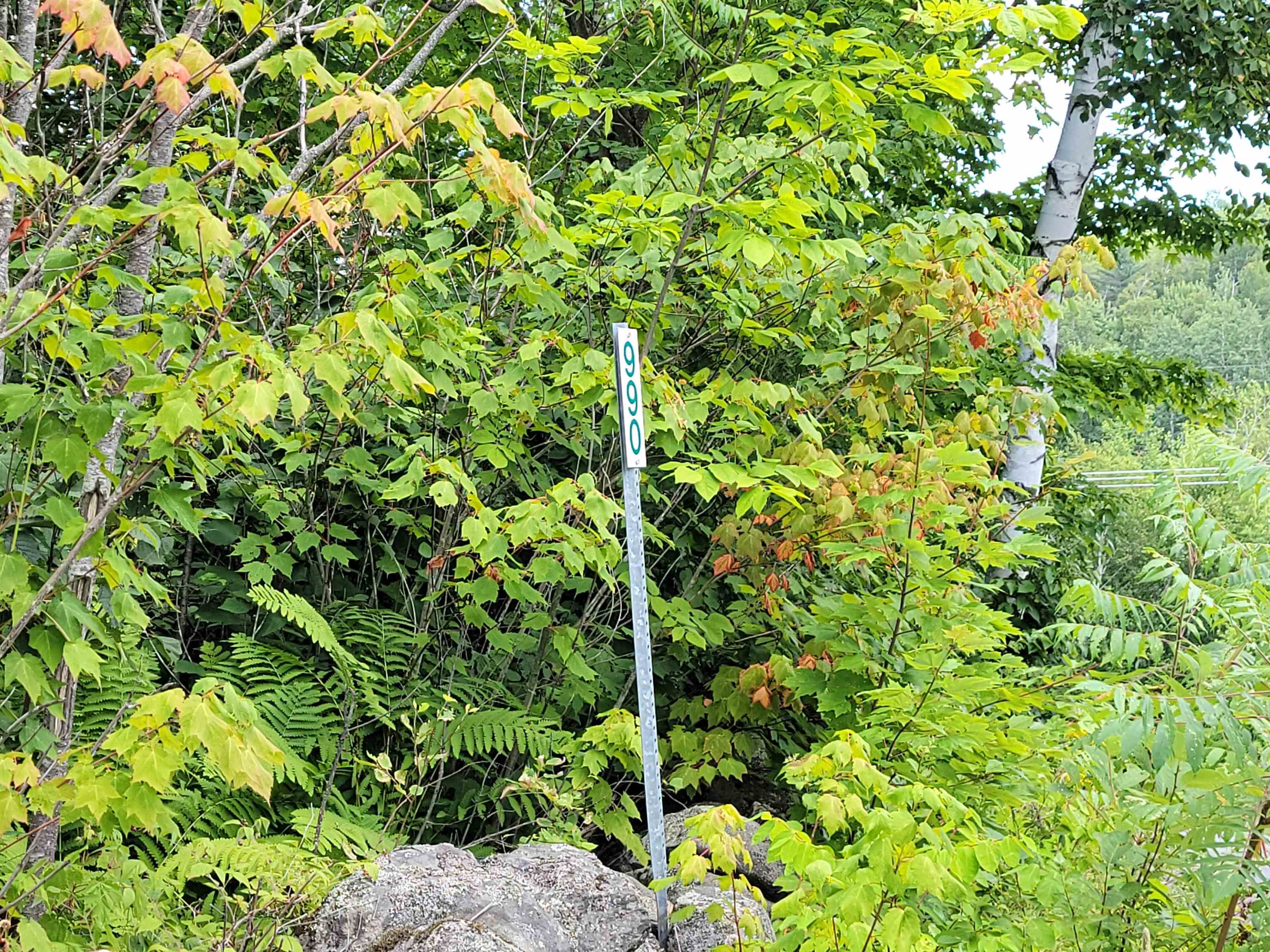 990 Blake Road Sugar Hill, NH 03586 - Photo 20 of 21 Gallery Image 20