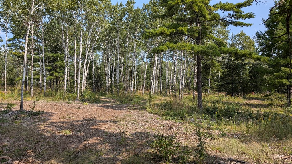 Lot 6 Wandering Down Road Fish Creek, WI 54212 - Photo 15 of 21