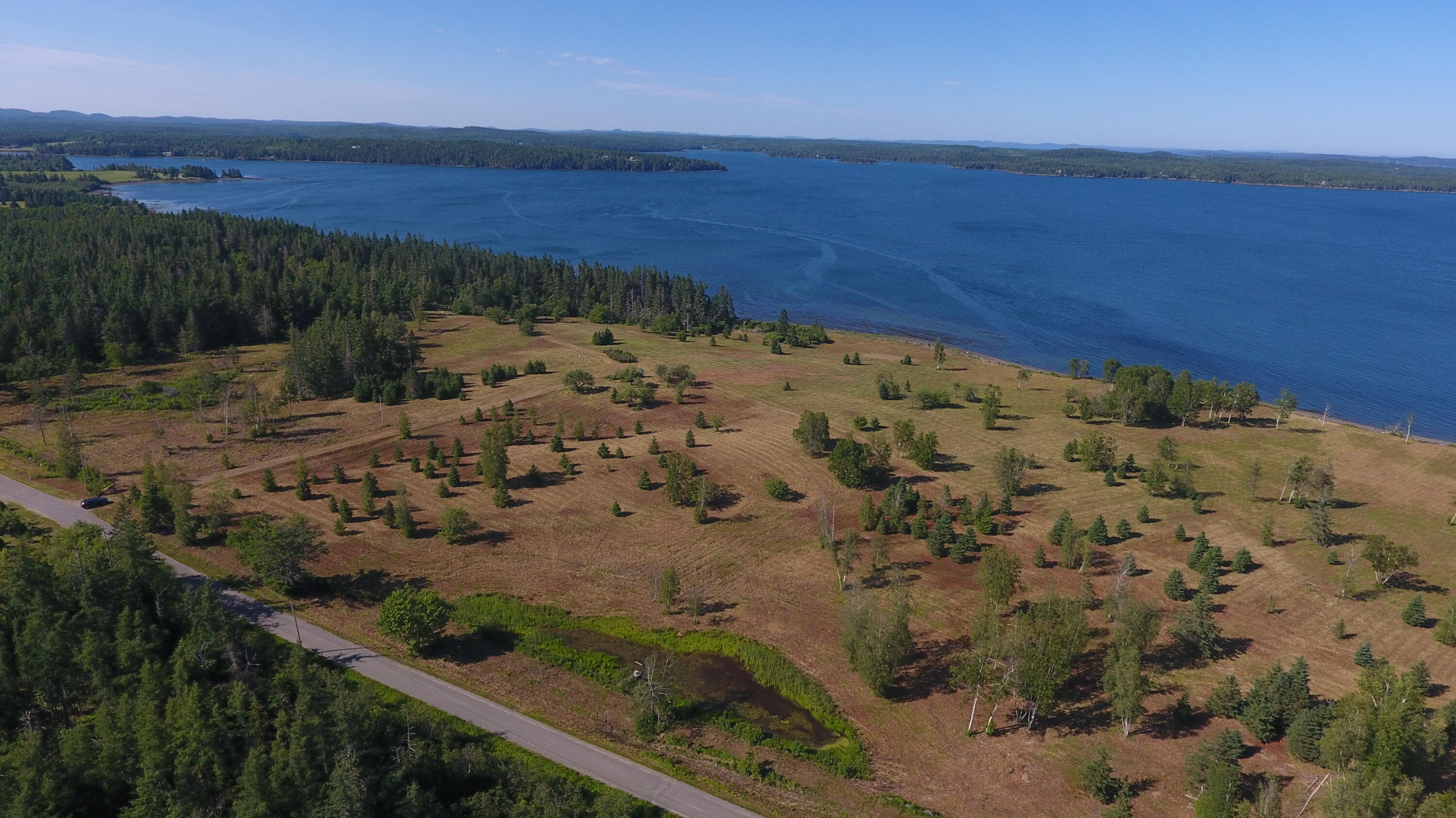 908 Leighton Point Road Pembroke, ME 04666 - Photo 9 of 26 DJI_0157