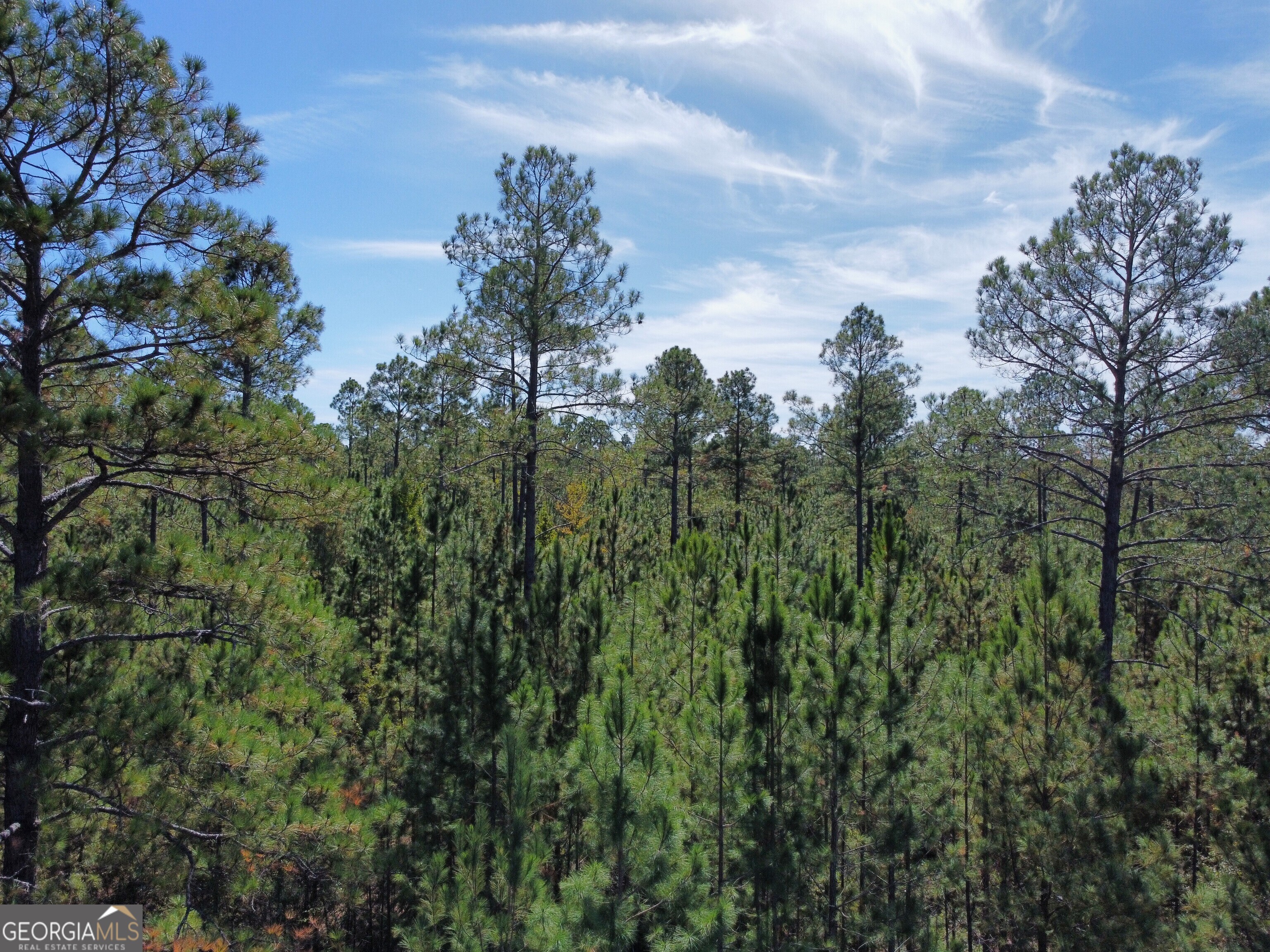 843 Daniel Mimbs Road East Dublin, GA 31027 - Photo 4 of 6 a view of a city with lush green forest