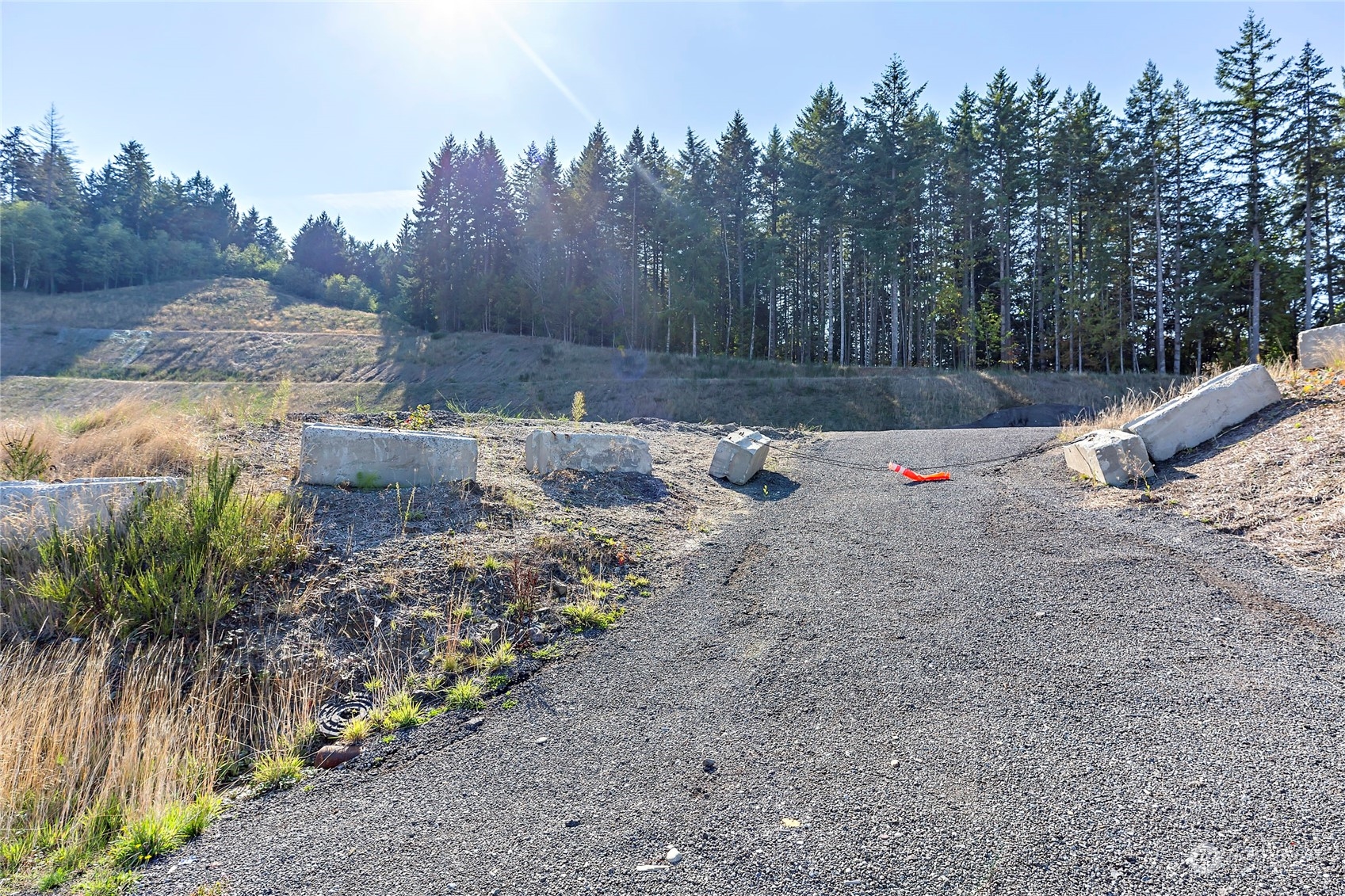0 Lumsden Road Port Orchard, WA 98367 - Photo 3 of 11 Gallery Image 3