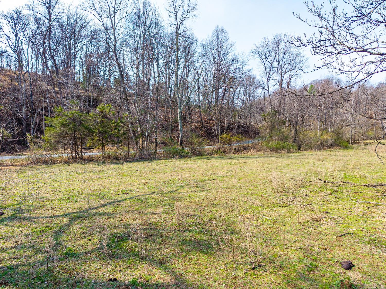 0 Puppy Creek Road Amherst, VA 24521 - Photo 12 of 37