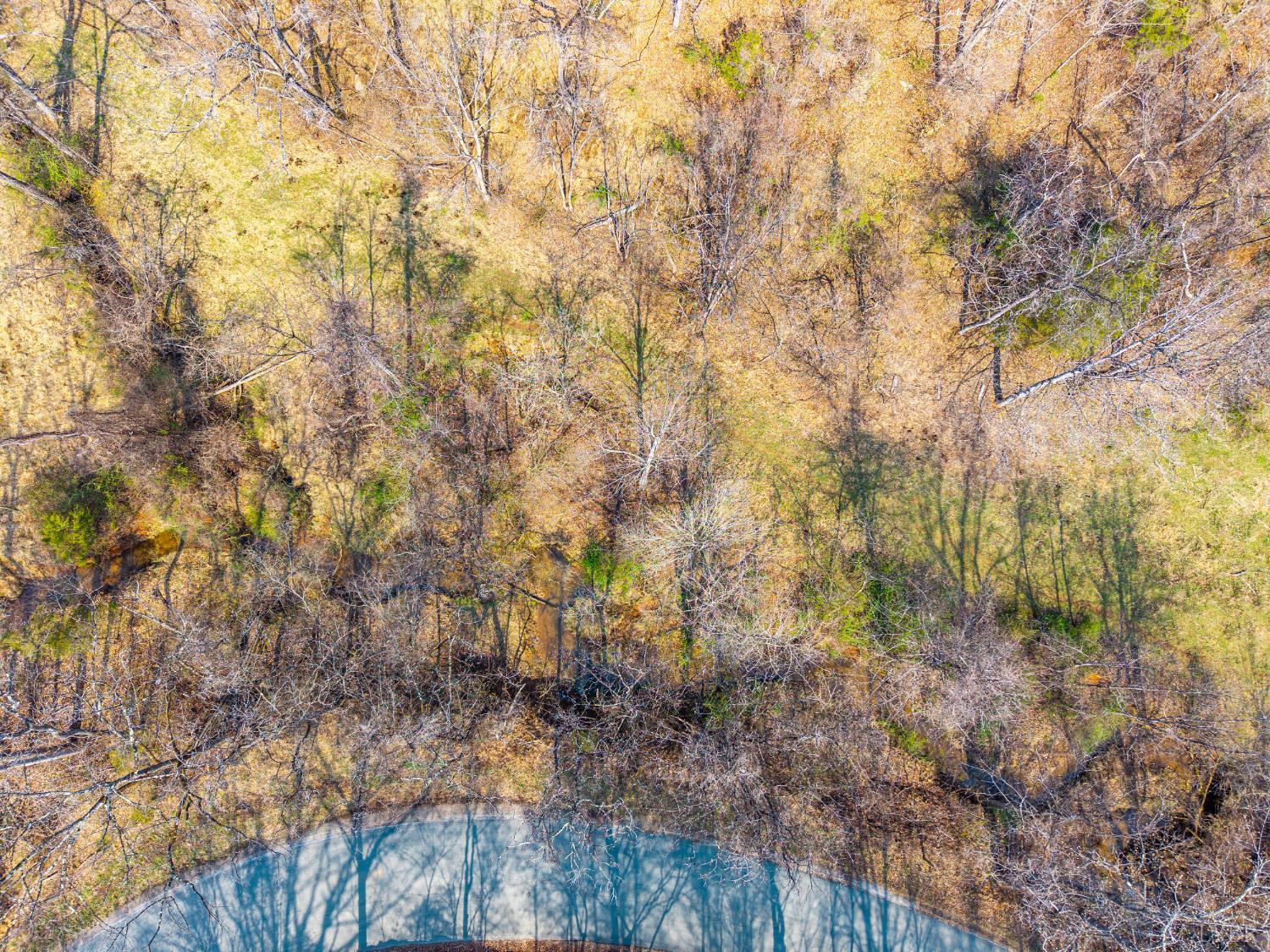 0 Puppy Creek Road Amherst, VA 24521 - Photo 14 of 37