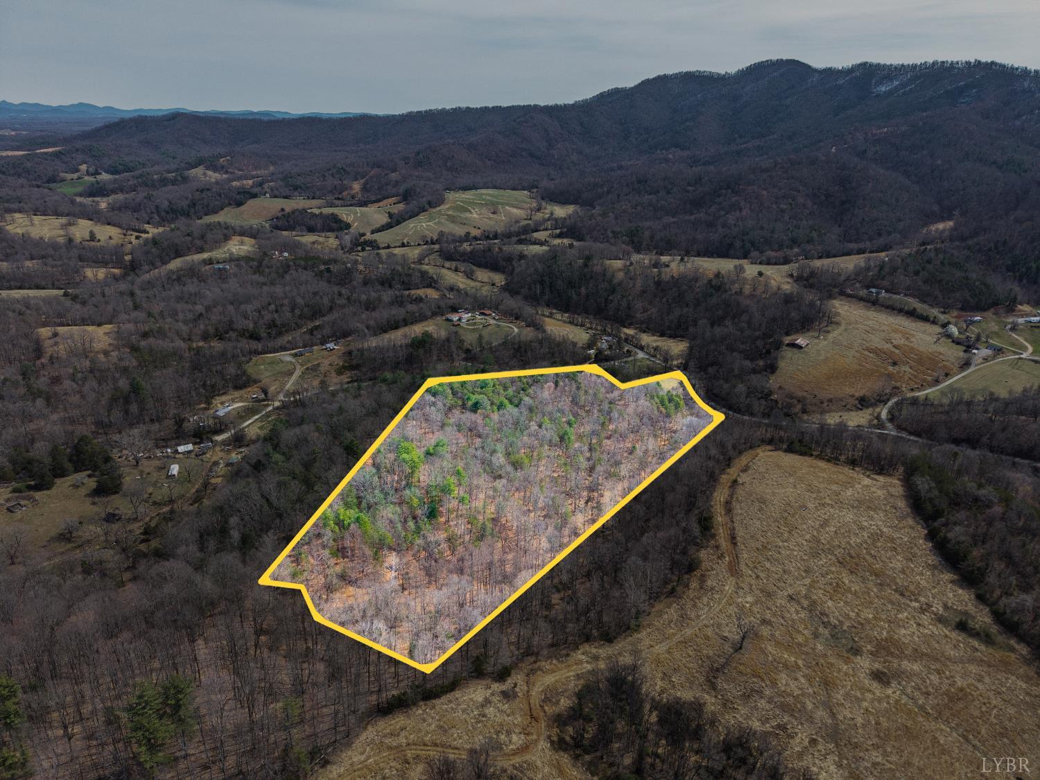 0 Puppy Creek Road Amherst, VA 24521 - Photo 23 of 37