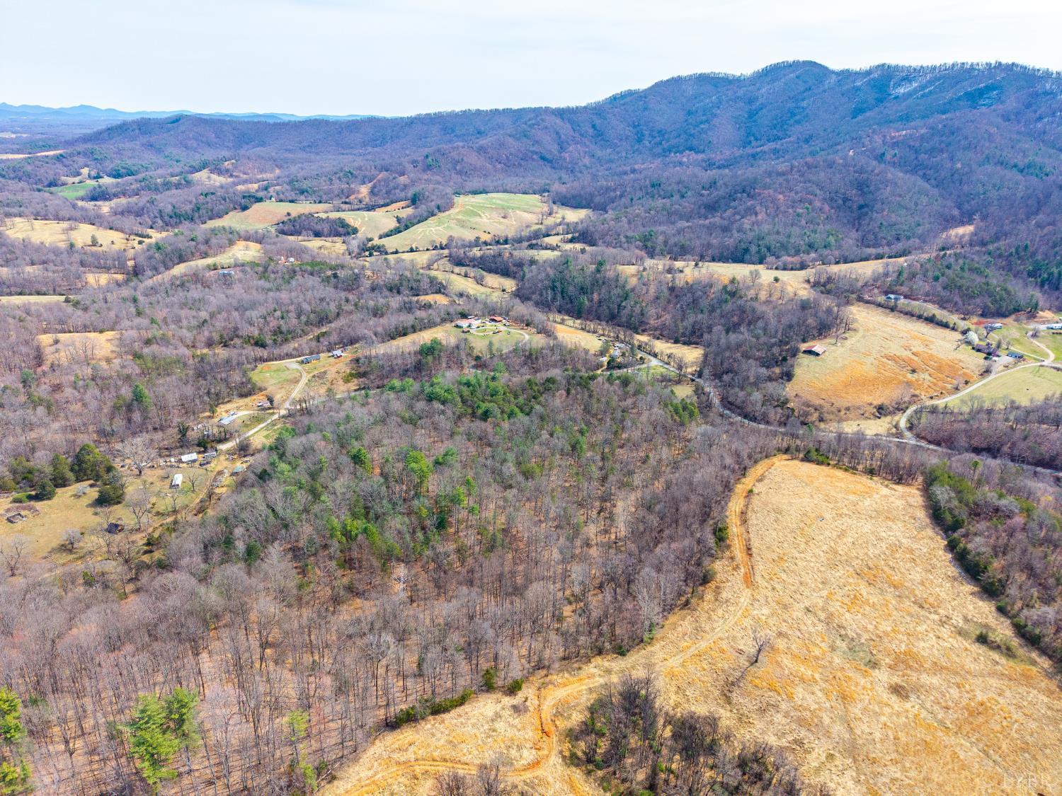 0 Puppy Creek Road Amherst, VA 24521 - Photo 24 of 37