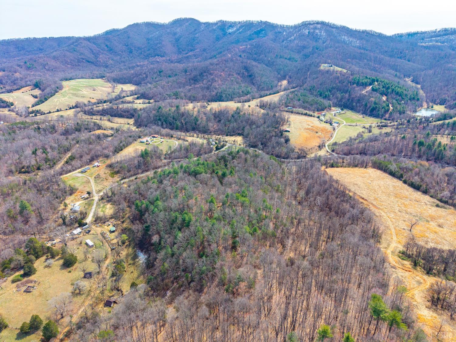 0 Puppy Creek Road Amherst, VA 24521 - Photo 26 of 37