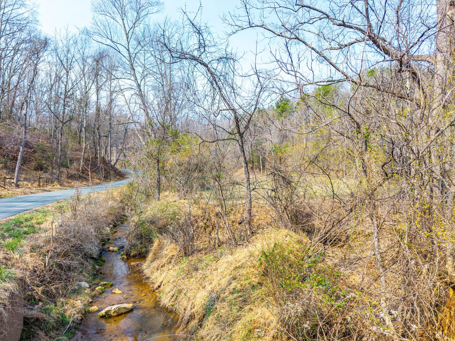 0 Puppy Creek Road Amherst, VA 24521 - Photo 3 of 37