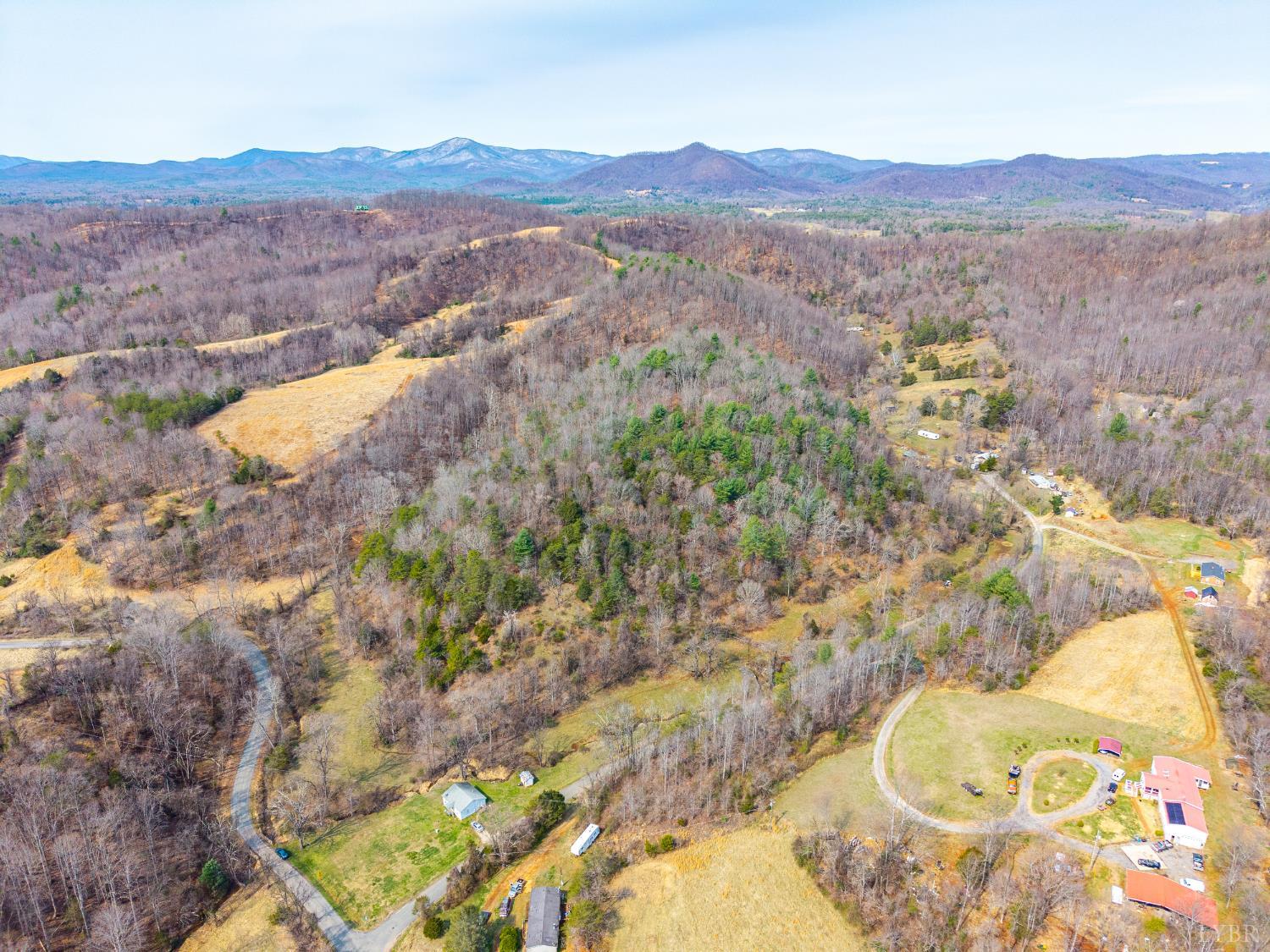0 Puppy Creek Road Amherst, VA 24521 - Photo 34 of 37