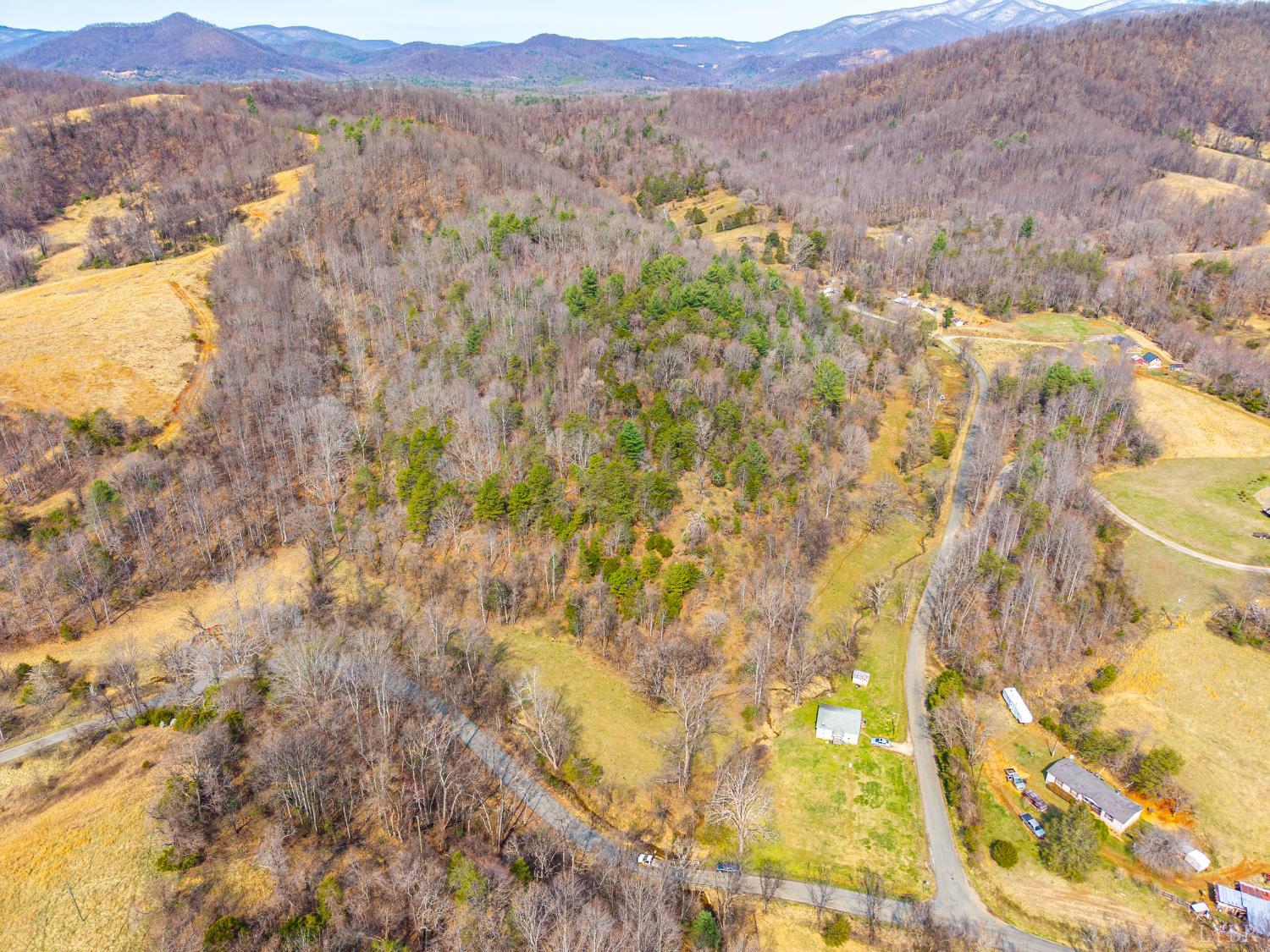 0 Puppy Creek Road Amherst, VA 24521 - Photo 37 of 37