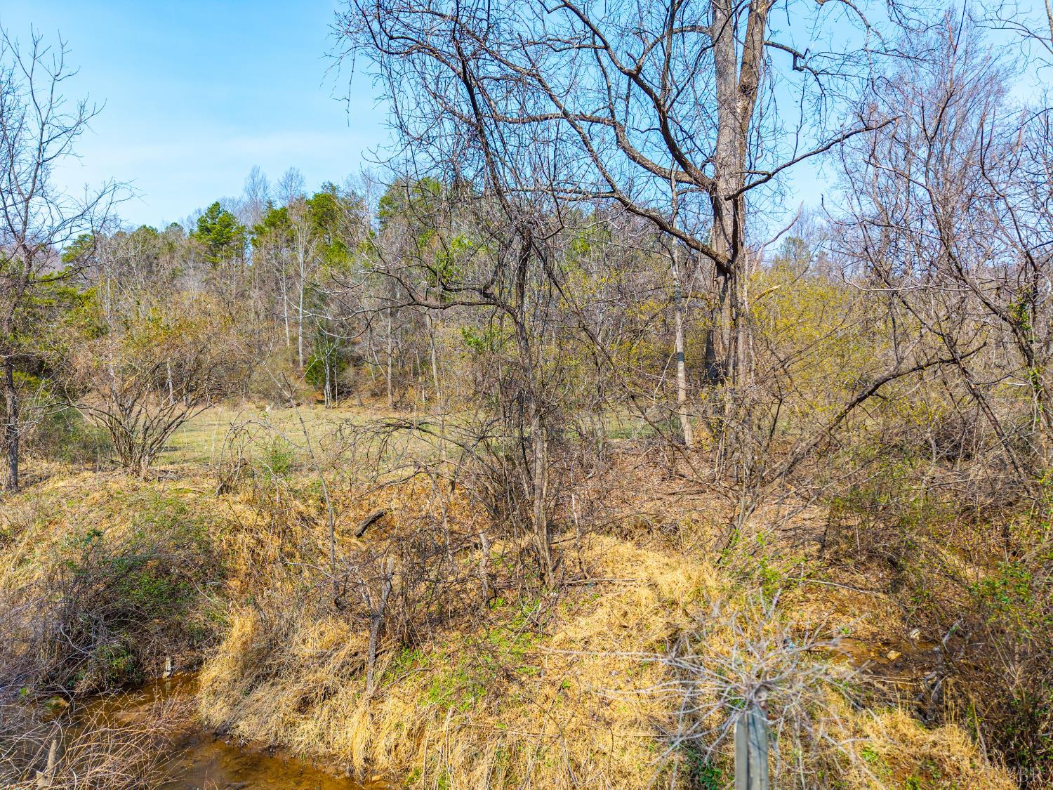 0 Puppy Creek Road Amherst, VA 24521 - Photo 4 of 37