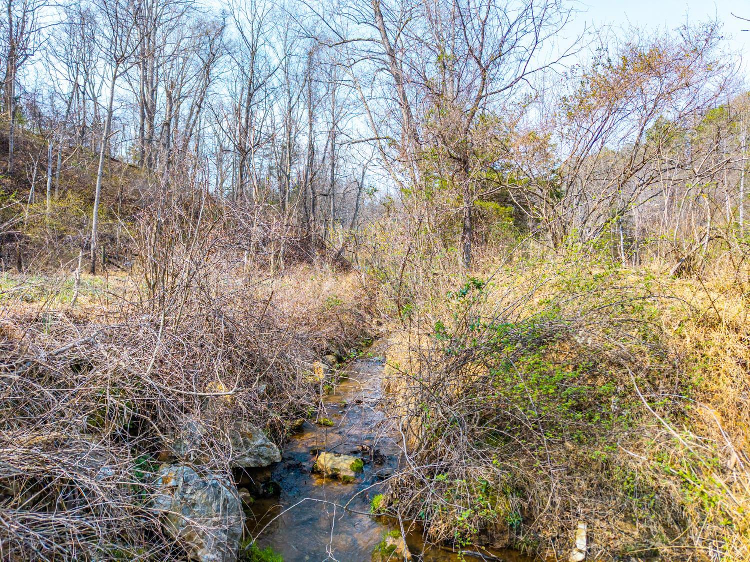 0 Puppy Creek Road Amherst, VA 24521 - Photo 5 of 37