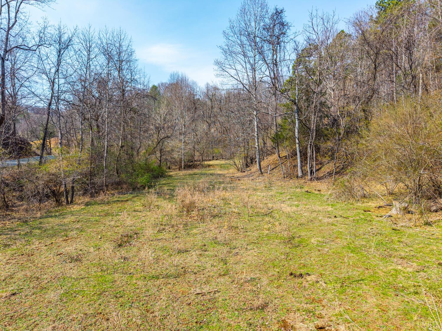 0 Puppy Creek Road Amherst, VA 24521 - Photo 9 of 37