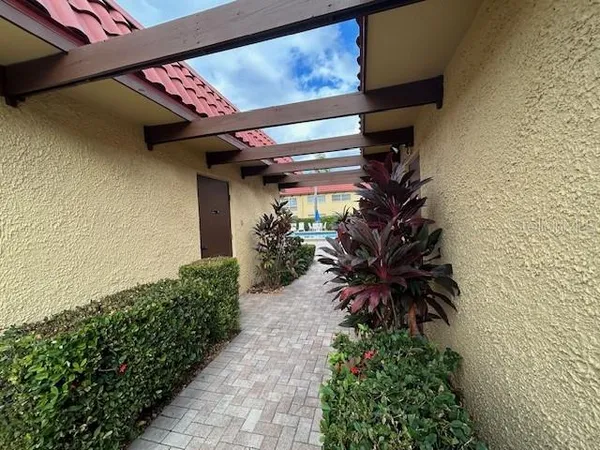 a close up of a plant