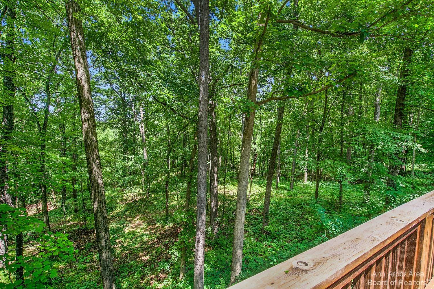 9660 Joslin Lake Road Gregory, MI 48137 - Photo 33 of 38 Photo 33