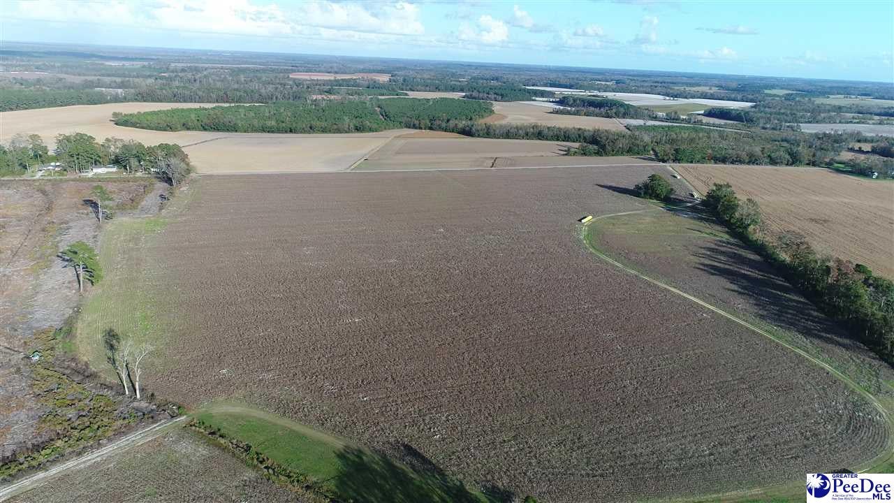 125.27-acres Sinclair Road Dillon, SC 29536 - Photo 1 of 1 Gallery Image 1