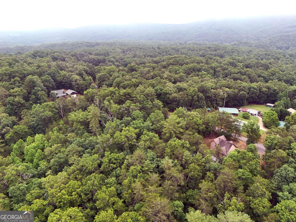 Lot 3 Cook Henry Road Blairsville, GA 30512 - Photo 15 of 18