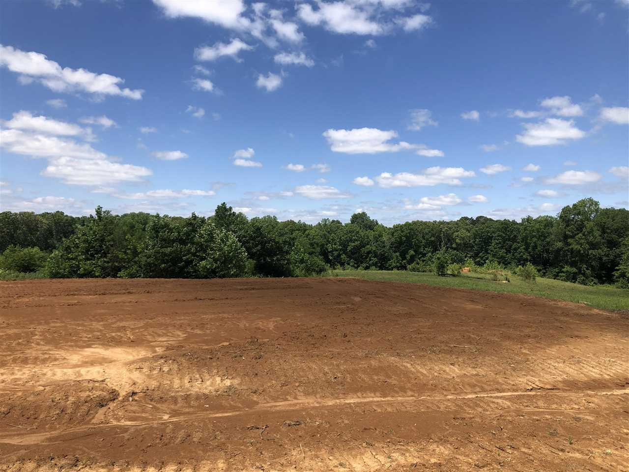 1765 Brown Cemetery Road Luray, TN 38352 - Photo 5 of 10 a view of a lake