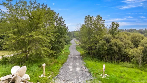 a view of a pathway both side of grassy field