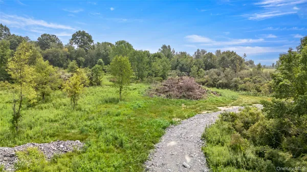 a view of a city with lush green forest