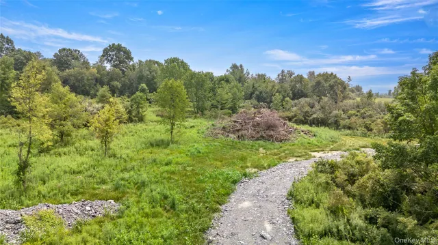 a view of a city with lush green forest