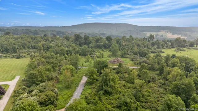 a view of city and mountain