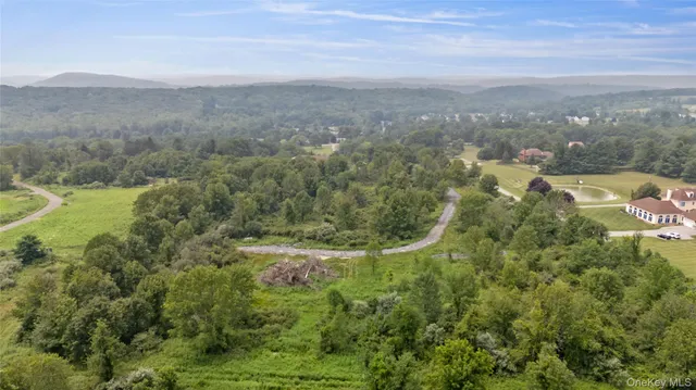 a view of a city with lush green forest