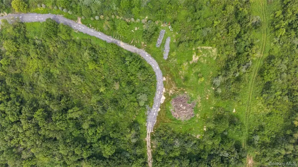 a map view of a forest