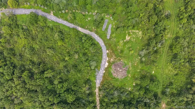 a map view of a forest