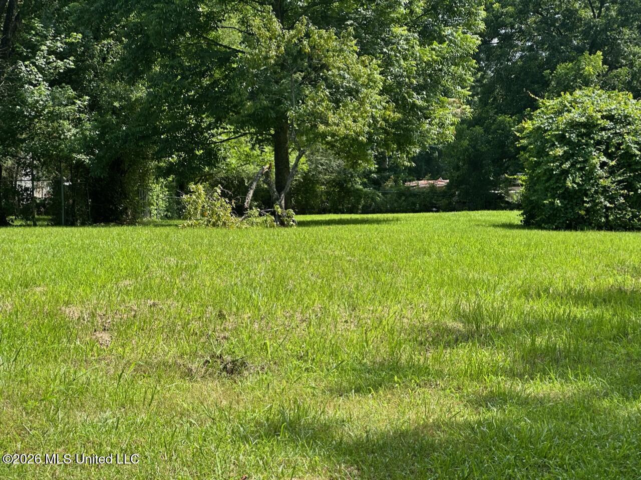 1195 North Old Canton Road Canton, MS 39046 - Photo 29 of 31 IMG_3578
