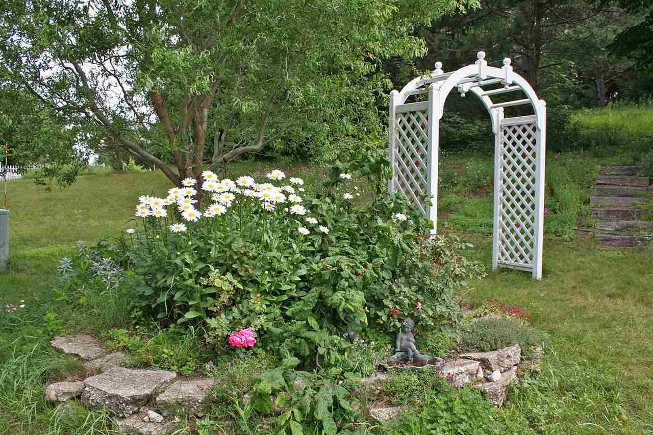 321 Nelson Road Frankfort, MI 49635 - Photo 8 of 47 1782249-7.JPG