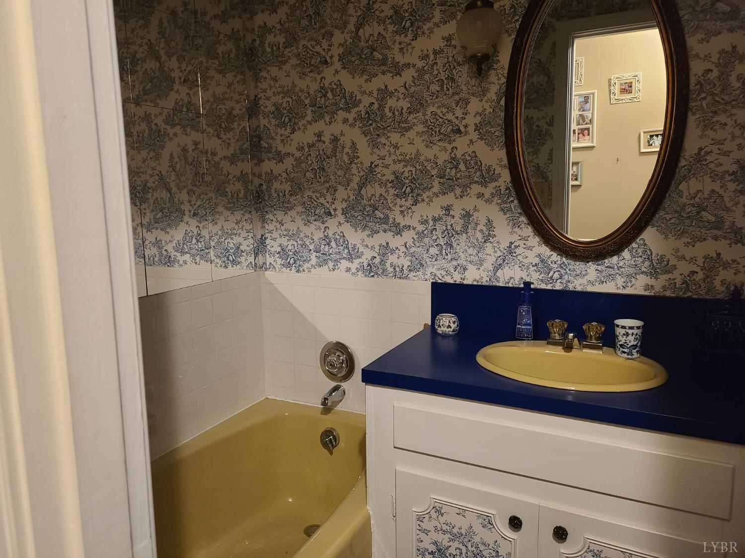 733 Morning Star Road Appomattox, VA 24522 - Photo 32 of 33 a bathroom with a sink a mirror and a shower