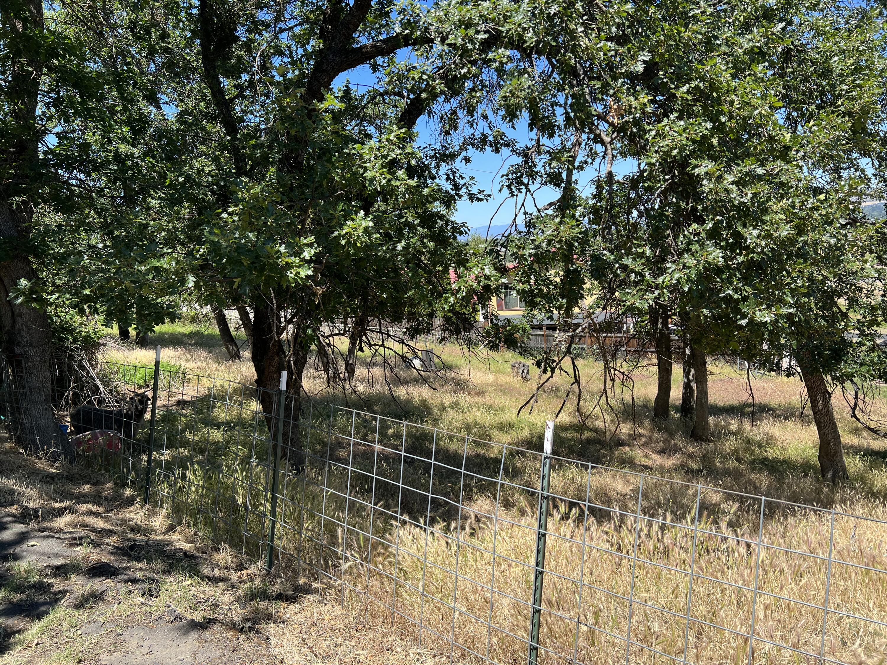 669 South Stage Road Medford, OR 97501 - Photo 43 of 44 Fenced Pasture