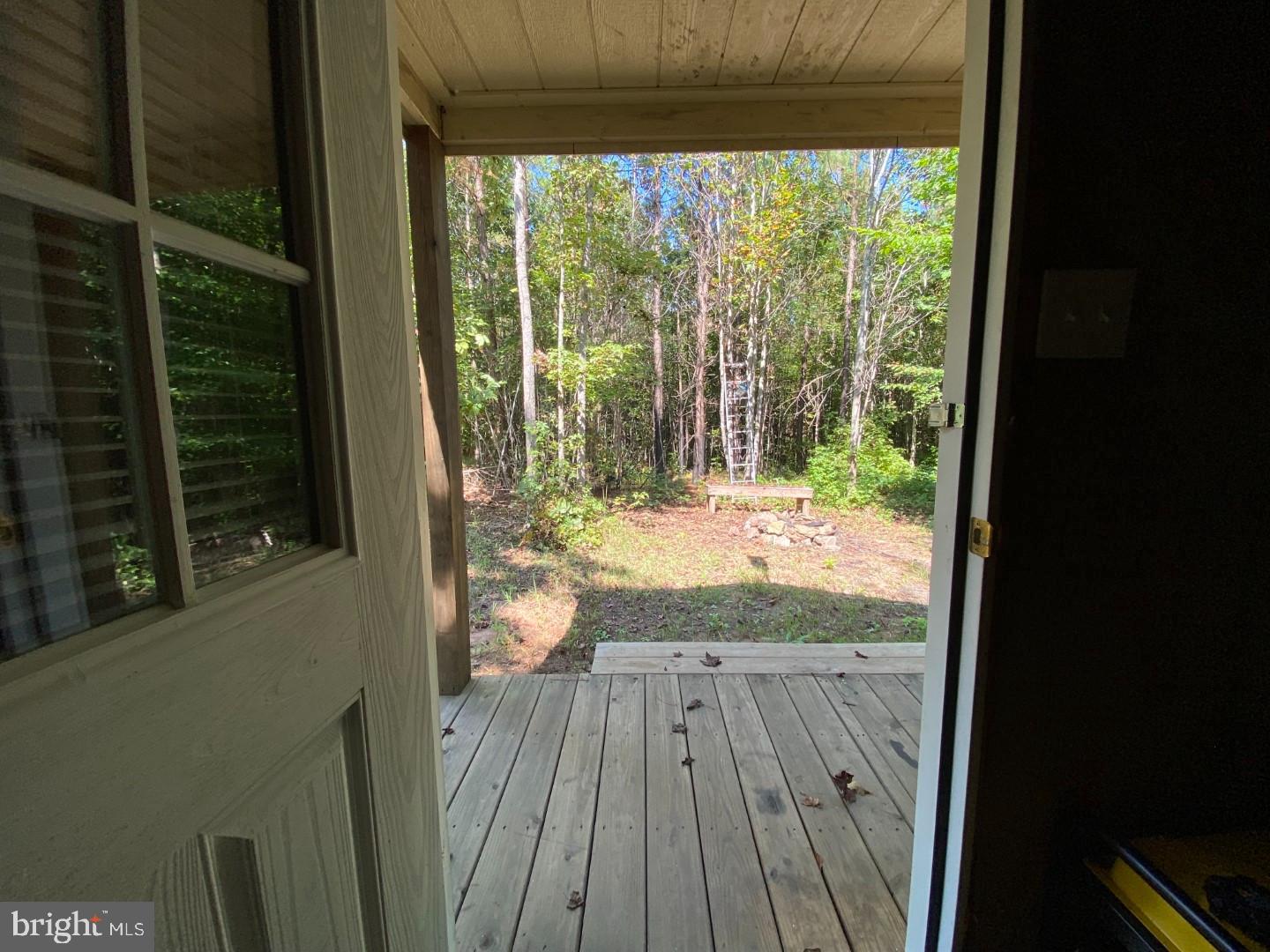 684 Squirrel Hollow Road Alberta, VA 23821 - Photo 33 of 43 Serene woodland view from the doorway.