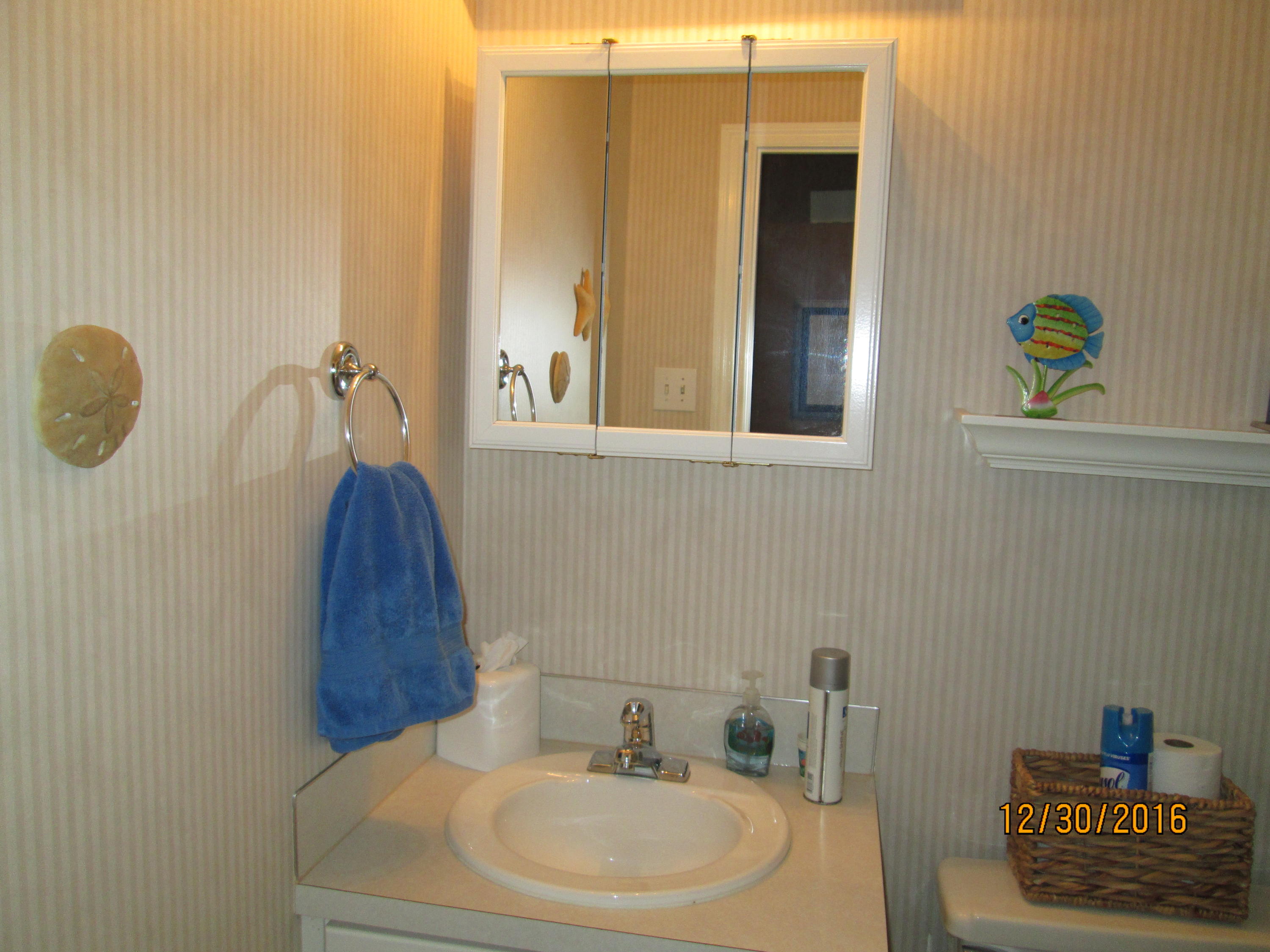 209 Live Oak Road Summerville, SC 29485 - Photo 13 of 28 IMG_2058