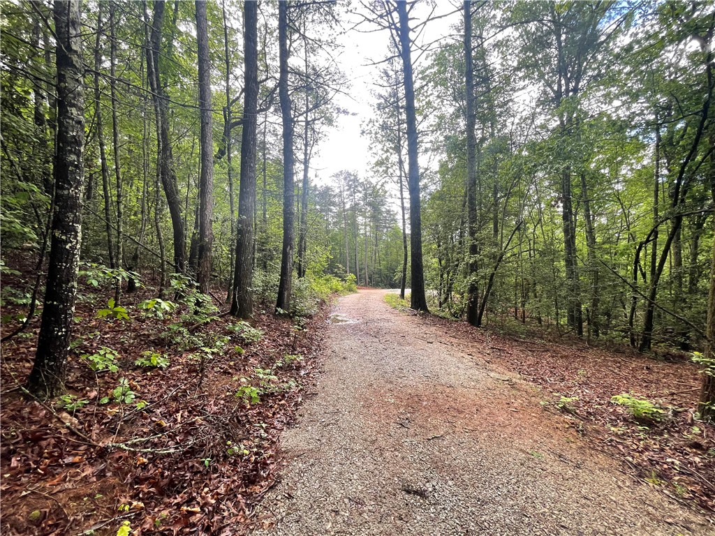 0 Crystal Lake Road Mountain Rest, SC 29664 - Photo 11 of 33 Gallery Image 11