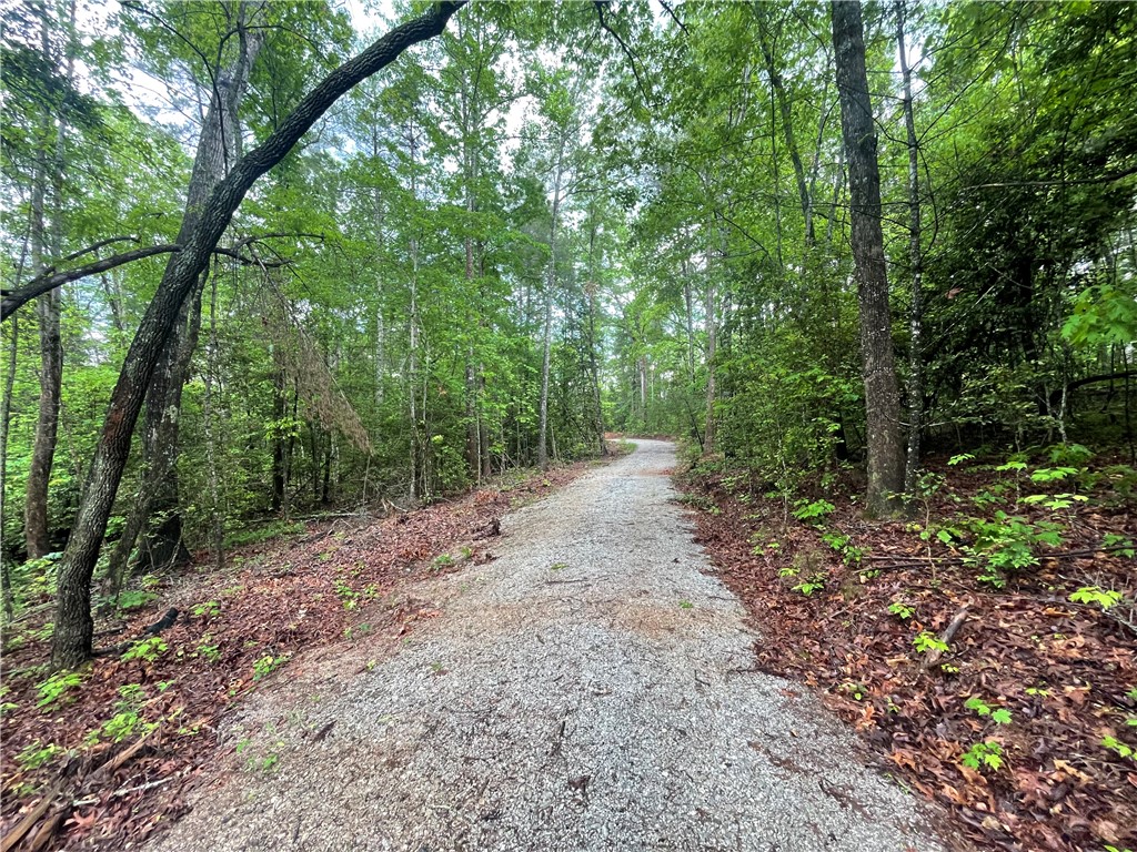 0 Crystal Lake Road Mountain Rest, SC 29664 - Photo 12 of 33 Gallery Image 12