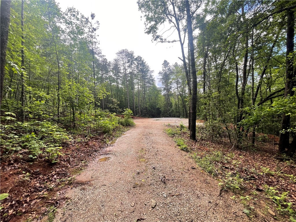 0 Crystal Lake Road Mountain Rest, SC 29664 - Photo 13 of 33 Gallery Image 13