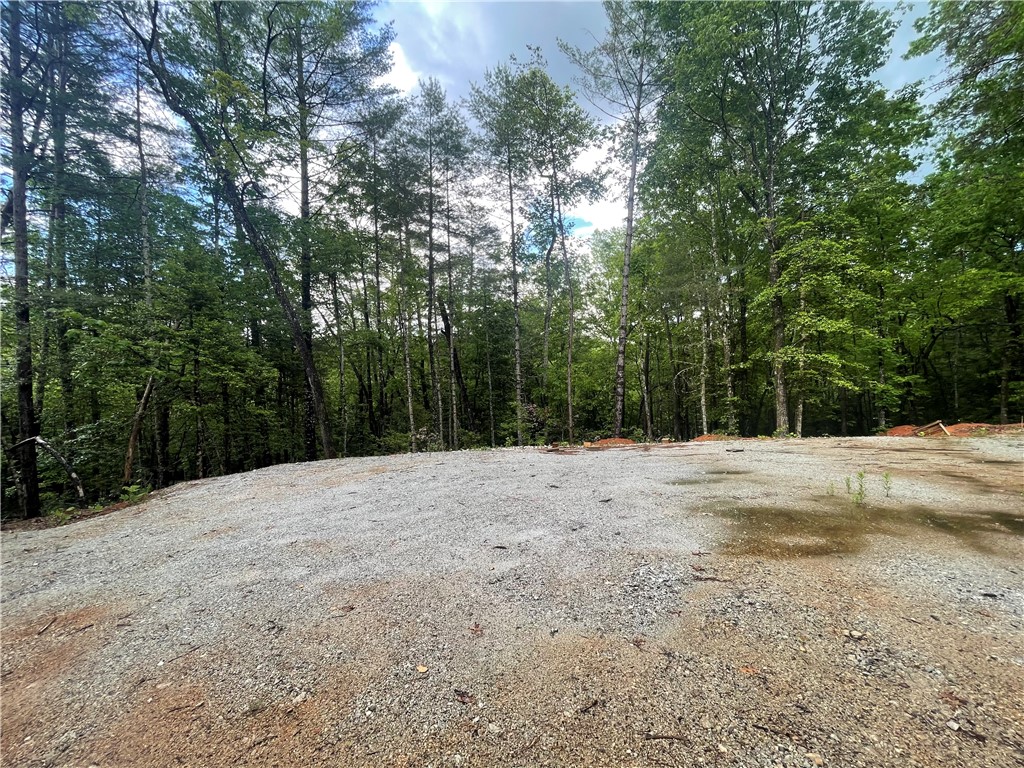 0 Crystal Lake Road Mountain Rest, SC 29664 - Photo 15 of 33 Gallery Image 15