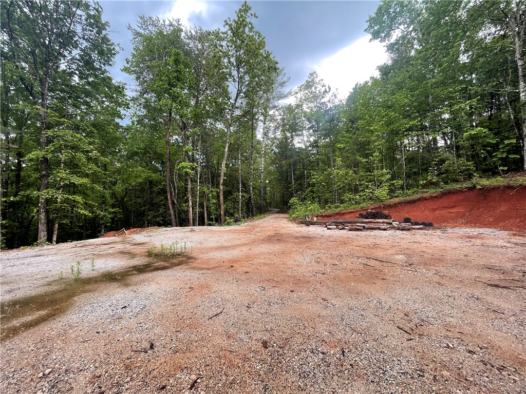 0 Crystal Lake Road Mountain Rest, SC 29664 - Photo 16 of 33 Gallery Image 16