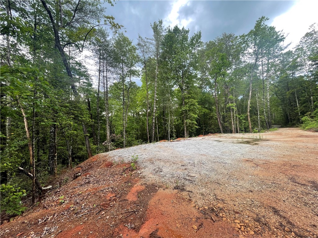 0 Crystal Lake Road Mountain Rest, SC 29664 - Photo 20 of 33 Gallery Image 20