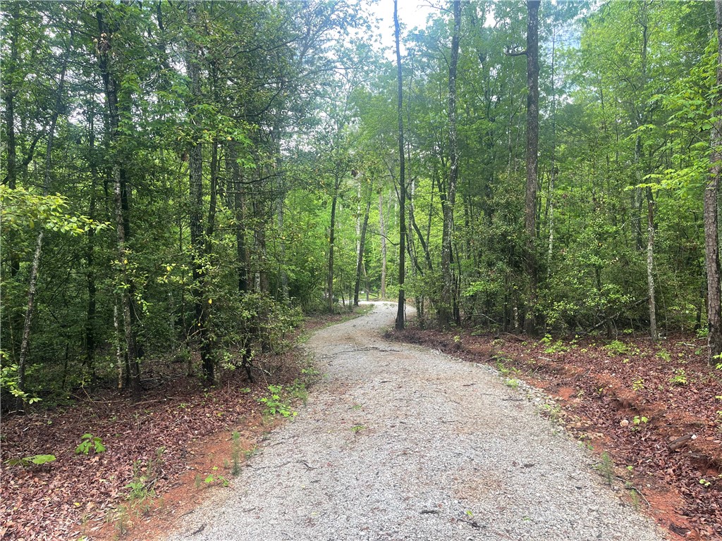 0 Crystal Lake Road Mountain Rest, SC 29664 - Photo 2 of 33 Gallery Image 2