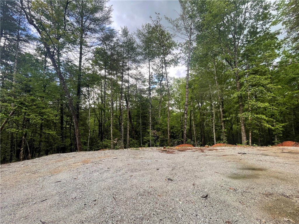 0 Crystal Lake Road Mountain Rest, SC 29664 - Photo 21 of 33 Gallery Image 21