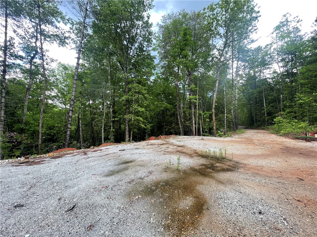 0 Crystal Lake Road Mountain Rest, SC 29664 - Photo 22 of 33 Gallery Image 22
