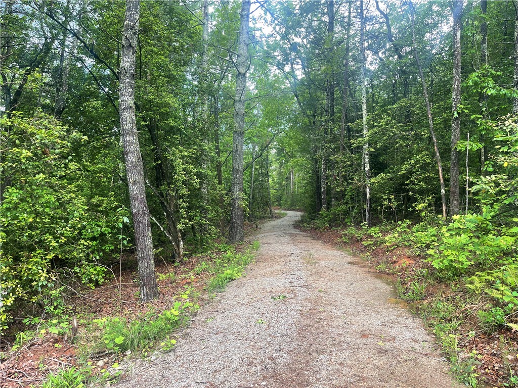 0 Crystal Lake Road Mountain Rest, SC 29664 - Photo 23 of 33 Gallery Image 23